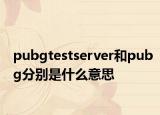 pubgtestserver和pubg分别是什么意思