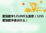 爱情数字12520什么意思（1255爱情数字表示什么）