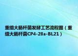 重组大肠杆菌发酵工艺流程图（重组大肠杆菌CP4-28a-BL21）
