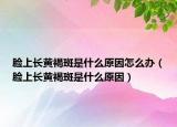 脸上长黄褐斑是什么原因怎么办（脸上长黄褐斑是什么原因）