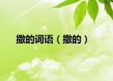 撒的词语（撒的）