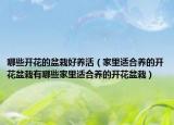 哪些开花的盆栽好养活（家里适合养的开花盆栽有哪些家里适合养的开花盆栽）