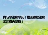 内马尔达席尔瓦（格莱德松达席尔瓦梅内塞斯）