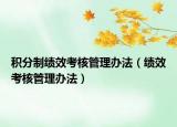 积分制绩效考核管理办法（绩效考核管理办法）
