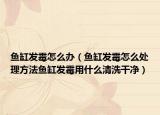 鱼缸发霉怎么办（鱼缸发霉怎么处理方法鱼缸发霉用什么清洗干净）