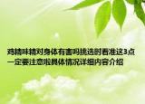 鸡精味精对身体有害吗挑选时看准这3点一定要注意啦具体情况详细内容介绍