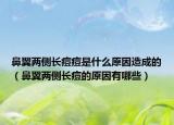 鼻翼两侧长痘痘是什么原因造成的（鼻翼两侧长痘的原因有哪些）