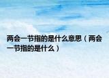 两会一节指的是什么意思（两会一节指的是什么）