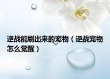 逆战能刷出来的宠物（逆战宠物怎么觉醒）