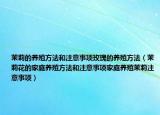 茉莉的养殖方法和注意事项玫瑰的养殖方法（茉莉花的家庭养殖方法和注意事项家庭养殖茉莉注意事项）