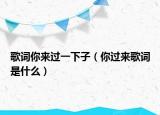 歌词你来过一下子（你过来歌词是什么）