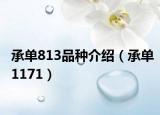 承单813品种介绍（承单1171）