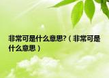 非常可是什么意思?（非常可是什么意思）