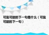 可盐可甜的下一句是什么（可盐可甜的下一句）