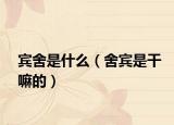 宾舍是什么（舍宾是干嘛的）