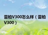 雷柏V300怎么样（雷柏V300）