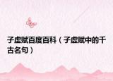 子虚赋百度百科（子虚赋中的千古名句）
