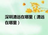 深圳清远在哪里（清远在哪里）