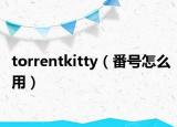 torrentkitty（番号怎么用）