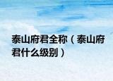 泰山府君全称（泰山府君什么级别）