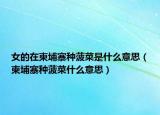 女的在柬埔寨种菠菜是什么意思（柬埔寨种菠菜什么意思）