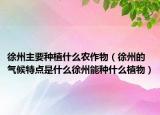 徐州主要种植什么农作物（徐州的气候特点是什么徐州能种什么植物）