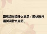 网络词树洞什么意思（网络流行语树洞什么意思）