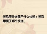 黄马甲快递属于什么快递（黄马甲属于哪个快递）