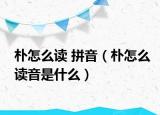 朴怎么读 拼音（朴怎么读音是什么）