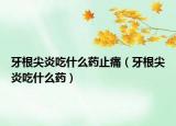 牙根尖炎吃什么药止痛（牙根尖炎吃什么药）