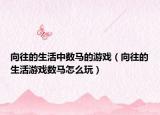 向往的生活中数马的游戏（向往的生活游戏数马怎么玩）