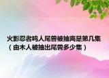 火影忍者鸣人尾兽被抽离是第几集（由木人被抽出尾兽多少集）