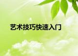 艺术技巧快速入门