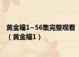 黄金瞳1~56集完整观看（黄金瞳1）
