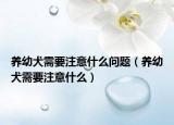 养幼犬需要注意什么问题（养幼犬需要注意什么）