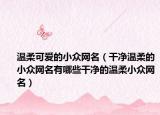 温柔可爱的小众网名（干净温柔的小众网名有哪些干净的温柔小众网名）