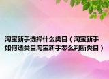 淘宝新手选择什么类目（淘宝新手如何选类目淘宝新手怎么判断类目）