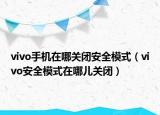 vivo手机在哪关闭安全模式（vivo安全模式在哪儿关闭）