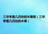 三华李是几月份的水果呢（三华李是几月份的水果）