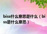 biss什么意思是什么（biss是什么意思）