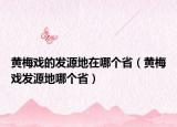 黄梅戏的发源地在哪个省（黄梅戏发源地哪个省）
