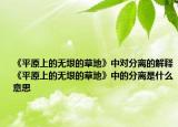 《平原上的无垠的草地》中对分离的解释《平原上的无垠的草地》中的分离是什么意思