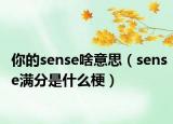 你的sense啥意思（sense满分是什么梗）