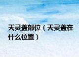 天灵盖部位（天灵盖在什么位置）