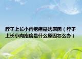 脖子上长小肉疙瘩是啥原因（脖子上长小肉疙瘩是什么原因怎么办）