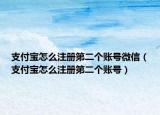 支付宝怎么注册第二个账号微信（支付宝怎么注册第二个账号）