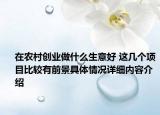 在农村创业做什么生意好 这几个项目比较有前景具体情况详细内容介绍