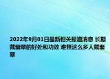 2022年9月01日最新相关报道消息 长期戴翡翠的好处和功效 难怪这么多人戴翡翠