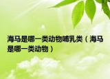 海马是哪一类动物哺乳类（海马是哪一类动物）