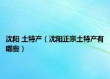 沈阳 土特产（沈阳正宗土特产有哪些）